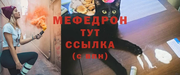 spice Богородск