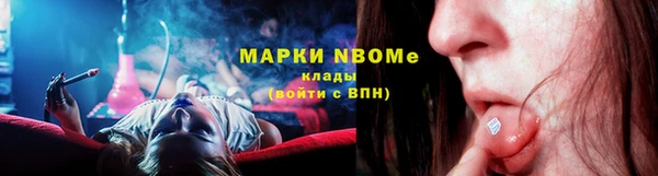 spice Богородск