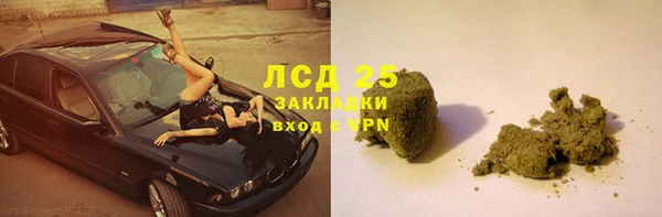 spice Богородск