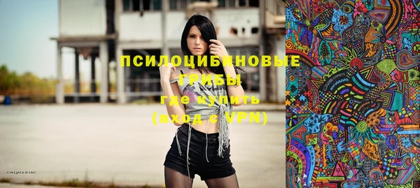 spice Богородск