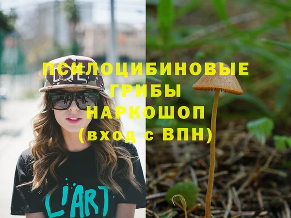 ГАЛЛЮЦИНОГЕННЫЕ ГРИБЫ Богородицк