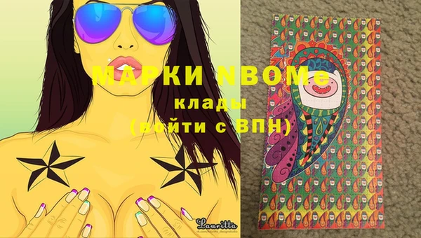 spice Богородск